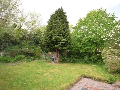 Picture 16